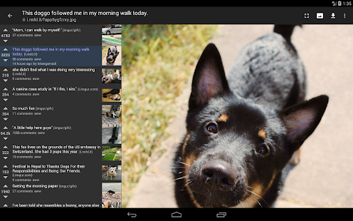reddit-is-fun-golden-platinum-unofficial-4-13-22-paid