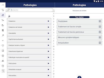 therapeutic-guide-1-0-unlocked