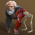 idle-evolution-from-cell-to-human-1-5-mod-unlimited-money-diamonds