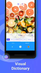 itranslate-translator-dictionary-pro-5-4-6