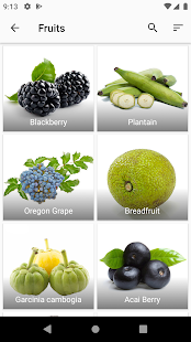 herbs-encyclopedia-2-8-24-ad-free