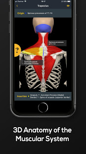 strength-training-by-muscle-and-motion-premium-2-1-65