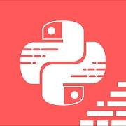 Python Programming Ultimate guide 1.2.8 Unlocked