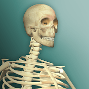 idle-human-2-1-0-7-mod-money