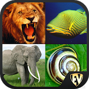 animal-encyclopedia-complete-reference-guide-free-premium-1-1-3