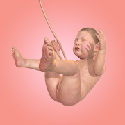 9-months-1-19-0-mod-a-lot-of-diamonds