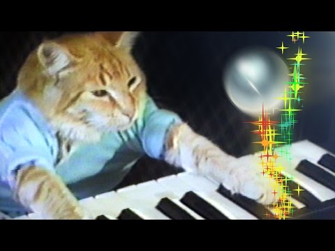 peggle-blast-2-19-0-mod-apk-data-unlimited-health