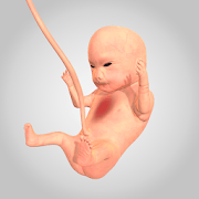 9-months-1-12-1-mod-a-lot-of-diamonds